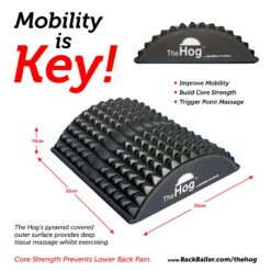 Hog-info-900