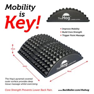 Hog-info-900