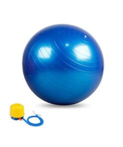 Swiss Balls – 75cm (Blue) Anti Burst