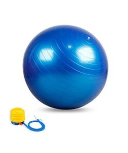 Swiss Balls – 75cm (Blue) Anti Burst