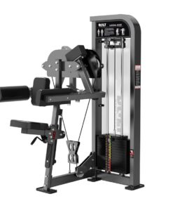 Bolt Strength Lateral Raise