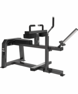 Seated Calf Raise