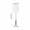 Badminton set