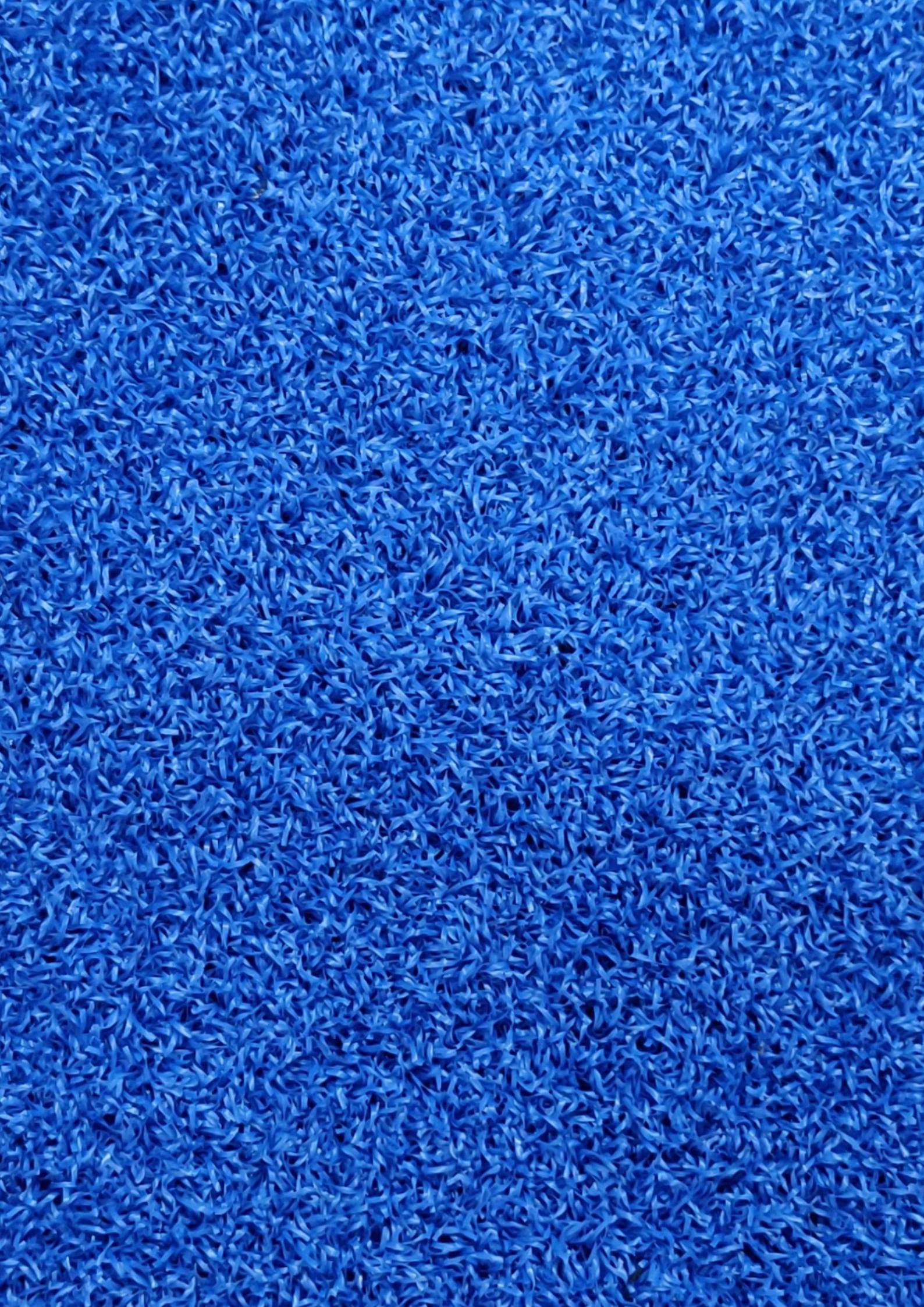 Bolt Strength Premium Turf | 2m x 25m x 16mm (Blue Without Lines) - Image 2