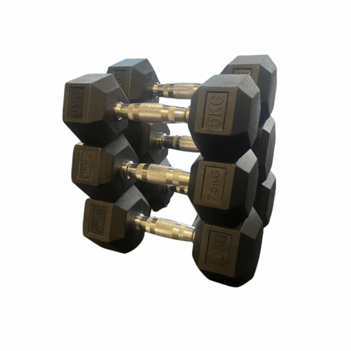 Dumbbell Starter Bundle (1)