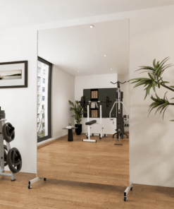 Rollaway Glassless Mirrors