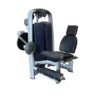 Technogym Leg Extension