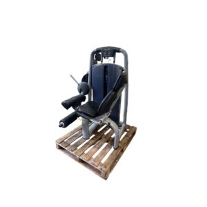 Technogym Leg Extension