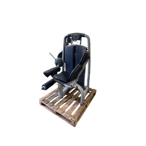 Technogym Leg Extension