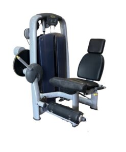 Technogym Leg Extension