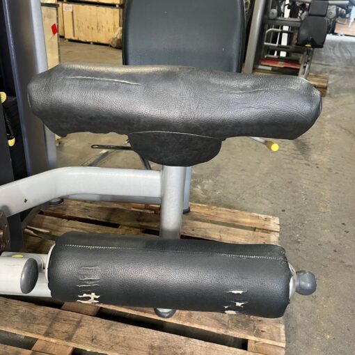 Technogym Leg Extension