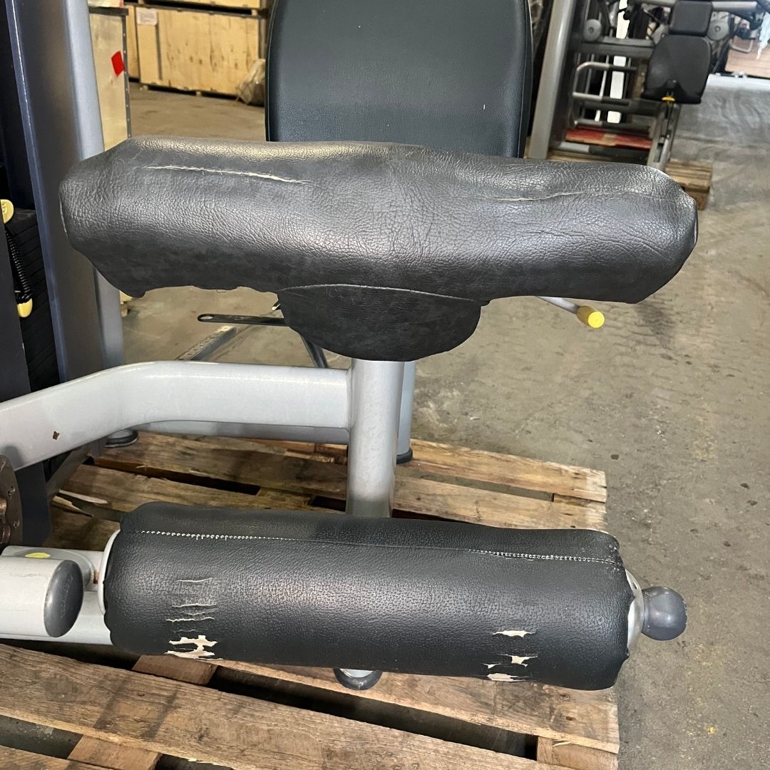 Technogym Leg Extension