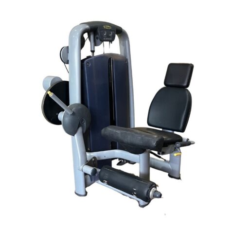 Technogym Leg Extension