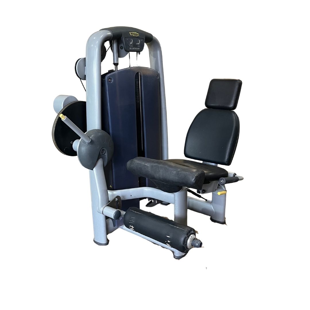 Technogym Leg Extension