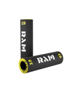 RAM 19