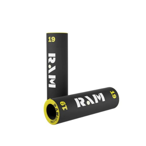 RAM 19