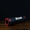 RAM 22