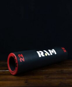 RAM 22