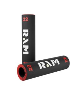 RAM 22