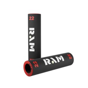 RAM 22