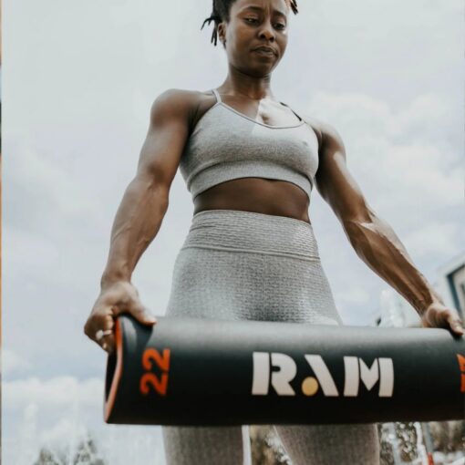 RAM 22