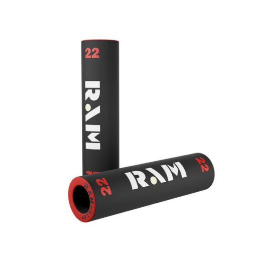 RAM 22