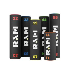 RAM log