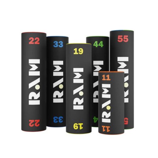 RAM log
