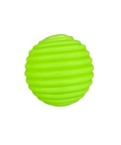 Sensory Ball Pack