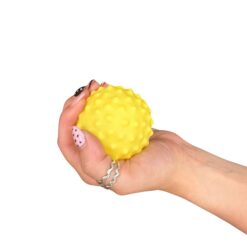 Sensory Ball Pack