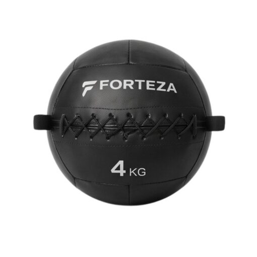 4kg Forteza Premium Wall Ball