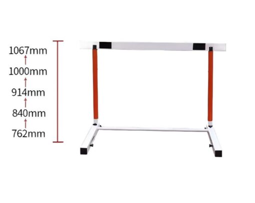 BS-6230 - Training Hurdles