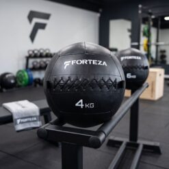 Forteza Premium Wall Ball