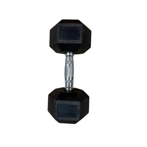 Pre-Loved12.5 kg Dumbbell