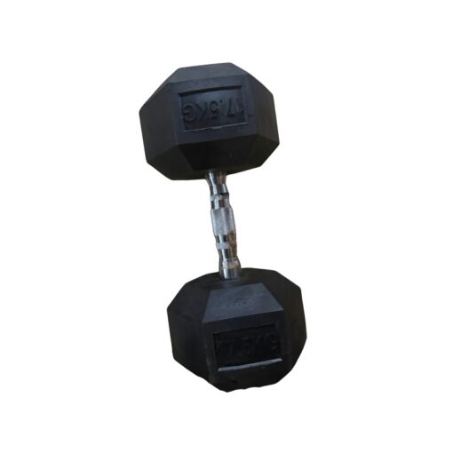 Showroom Model 17.5KG Hex Dumbbell